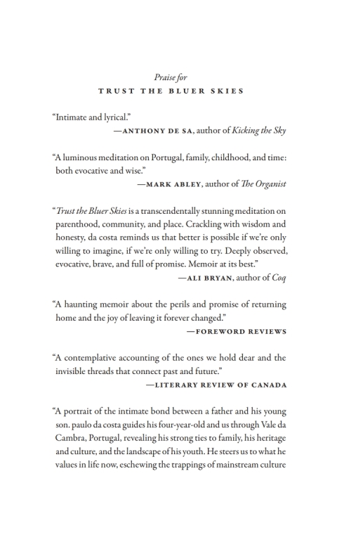 Trust the Bluer Skies 