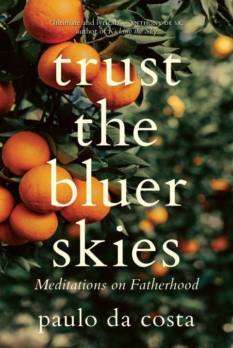 Trust the Bluer Skies 