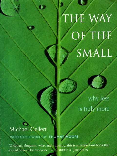 Cover image for book The Way of the Small
