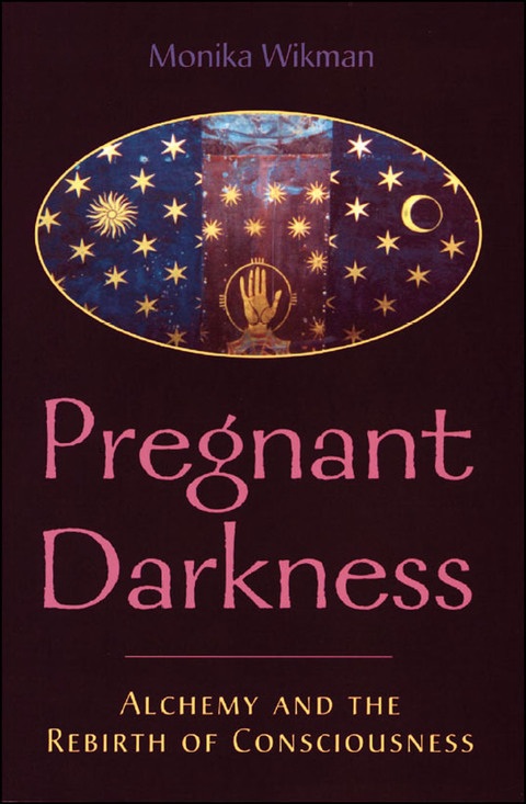 Cover image for book Pregnant Darkness