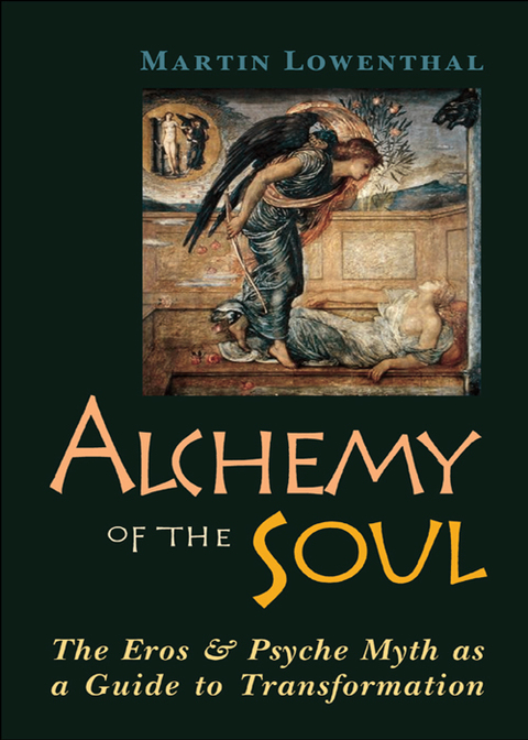 Cover image for book Alchemy of the Soul