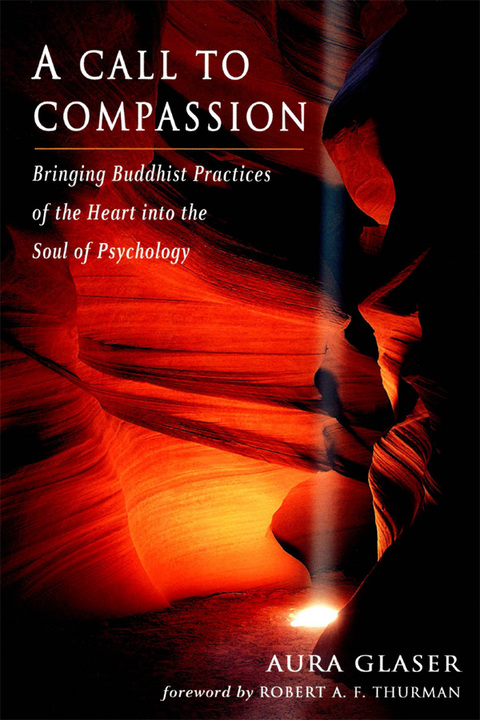 Cover image for book A Call to Compassion