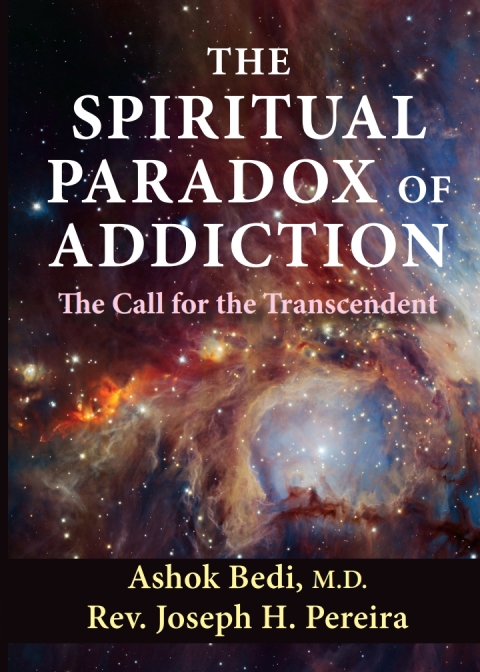 Cover image for book The Spiritual Paradox of Addiction