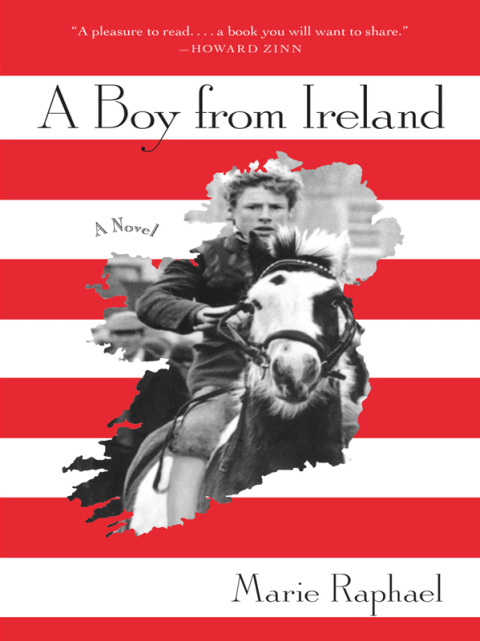 Cover image for book A Boy From Ireland: A Novel