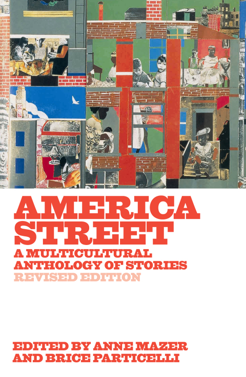 Cover image for book America Street