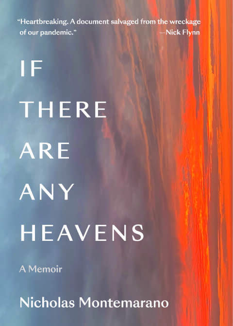 Cover image for book If There Are Any Heavens