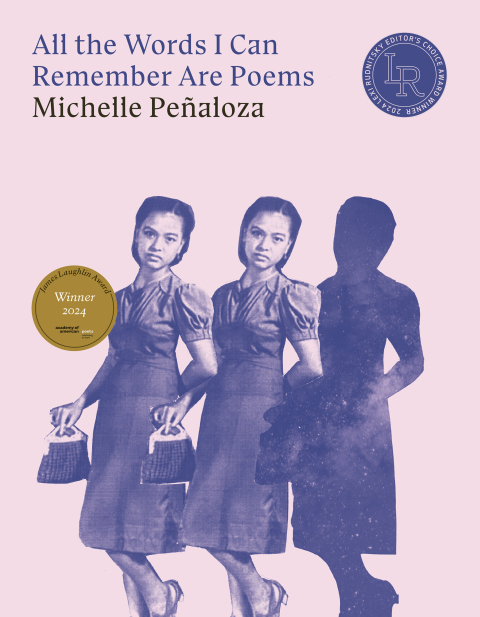 Cover image for book All the Words I Can Remember Are Poems