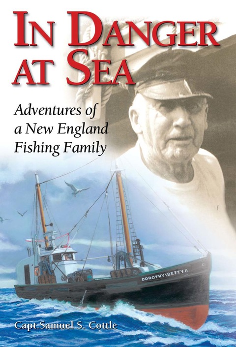 Cover image for book In Danger at Sea
