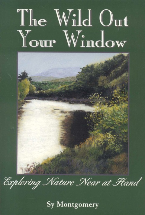 Cover image for book The Wild Out Your Window