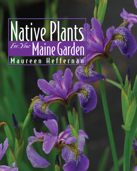 Cover image for book Native Plants for Your Maine Garden