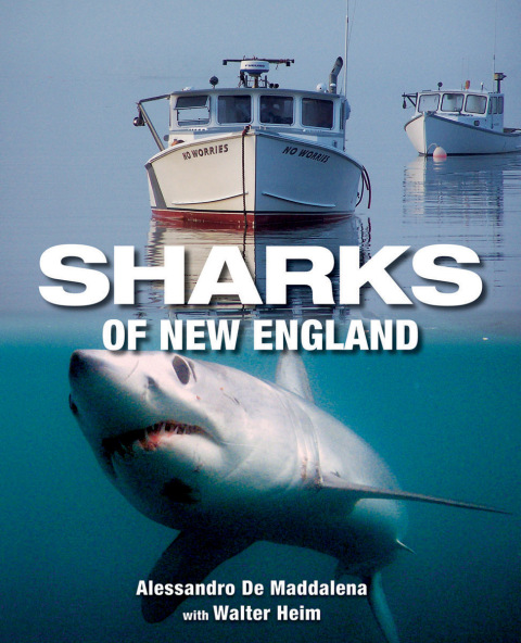Cover image for book Sharks of New England
