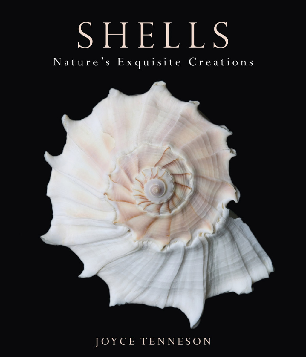 Shells (eBook)