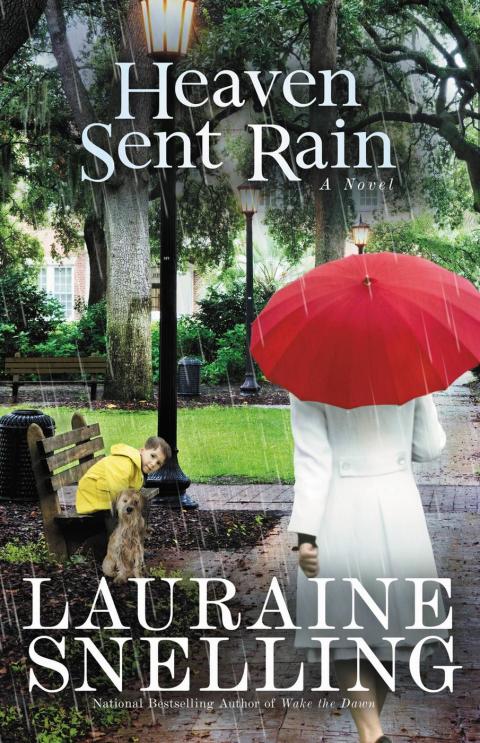 Cover image for book Heaven Sent Rain