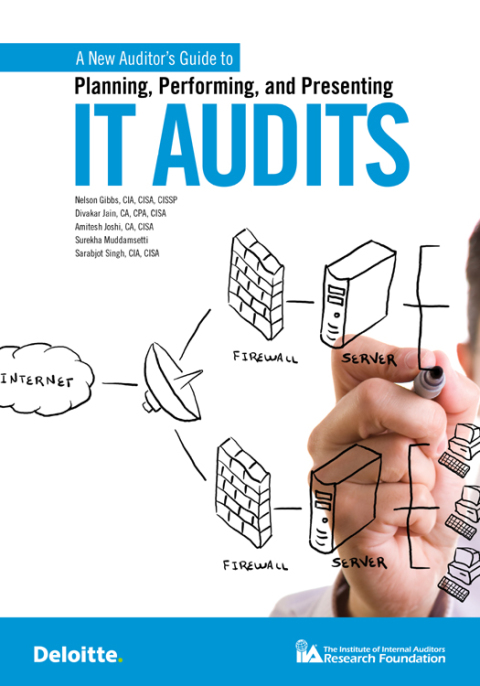 A New Auditor's Guide to Planning, Performing, and Presenting IT Audits 