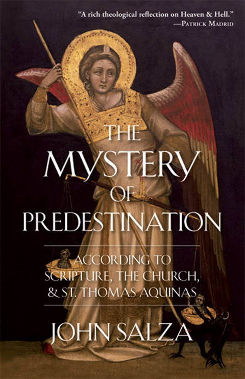 Cover image for book The Mystery of Predestination
