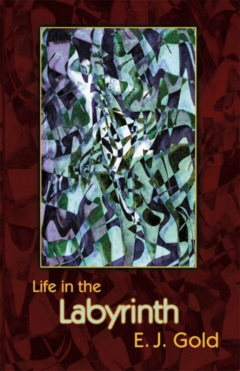 Cover image for book Life in the Labyrinth