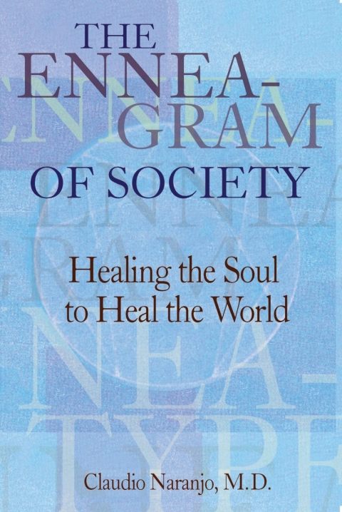 Cover image for book The Enneagram of Society