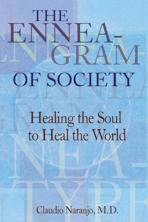 Cover image for book The Enneagram of Society
