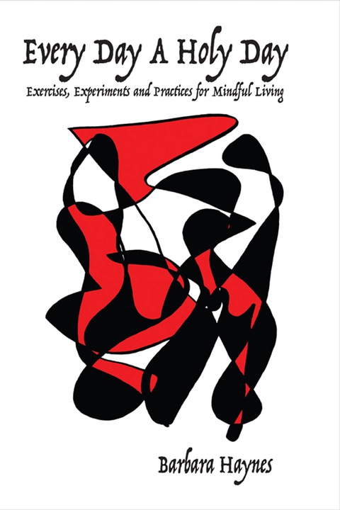 Cover image for book Every Day a Holy Day: Exercises, Experiments and Practices for Mindful Living