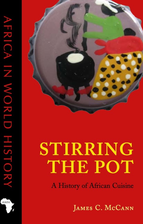Cover image for book Stirring the Pot