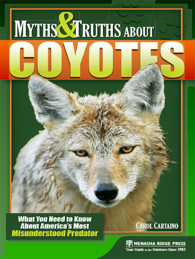Myths & Truths About Coyotes