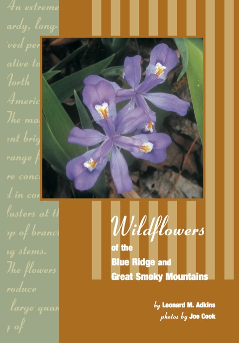 Cover image for book Wildflowers of Blue Ridge and Great Smoky Mountains