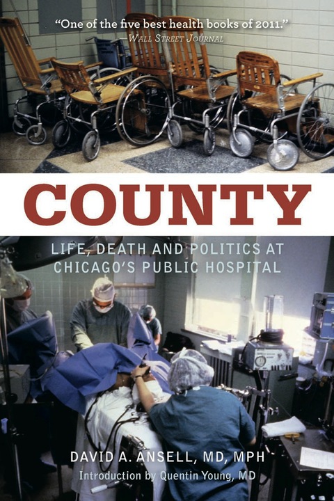 Cover image for book County