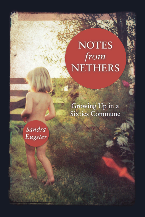 Cover image for book Notes From Nethers