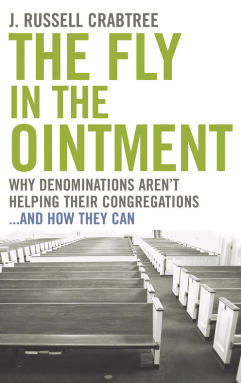 Fly in the Ointment Why Denominations Aren't Helping Their Congregations...and How They Can
