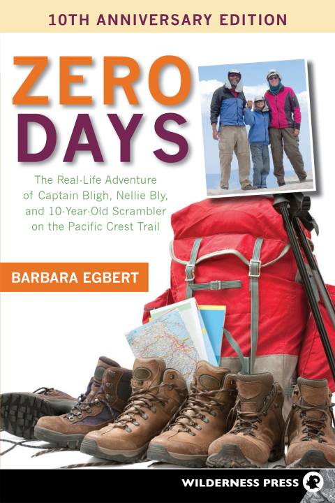 Cover image for book Zero Days