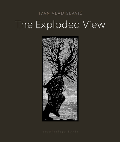 Cover image for book The Exploded View