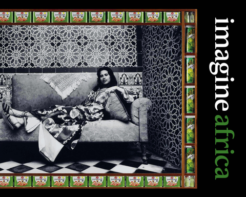 Cover image for book Imagine Africa