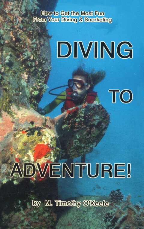 Cover image for book Diving to Adventure
