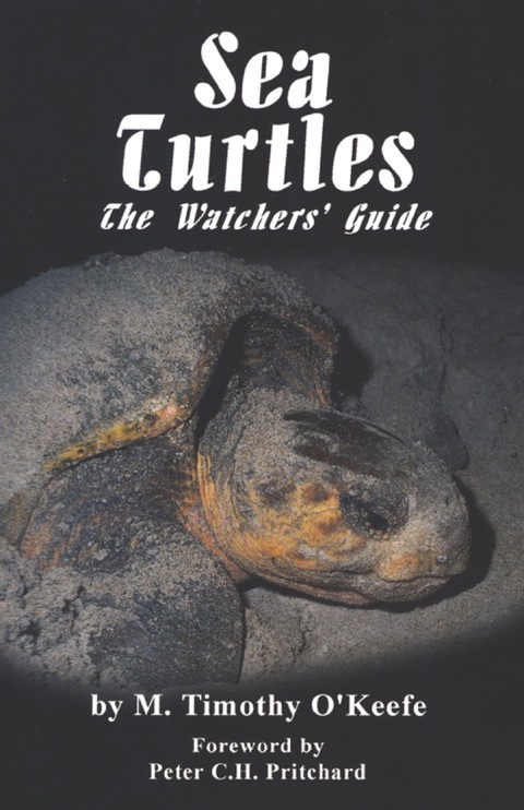 Cover image for book Sea Turtles