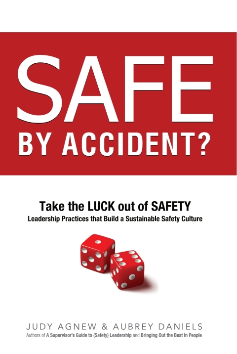Cover image for book Safe By Accident