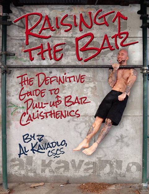 Cover image for book Raising the Bar