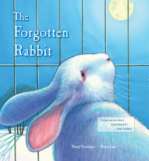 Cover image for book The Forgotten Rabbit