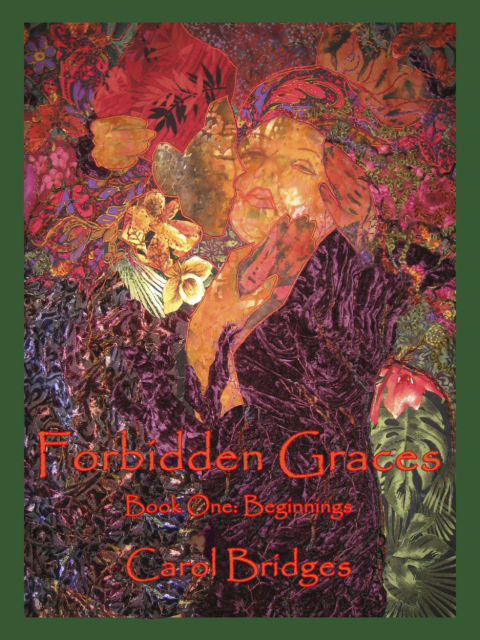 Cover image for book Forbidden Graces, Book One:  Beginnings