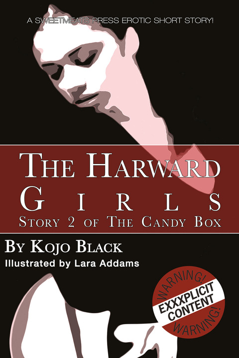 Cover image for book The Harward Girls