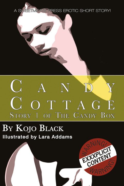 Cover image for book Candy Cottage