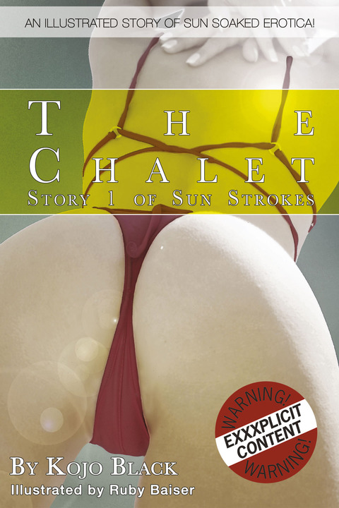 Cover image for book The Chalet