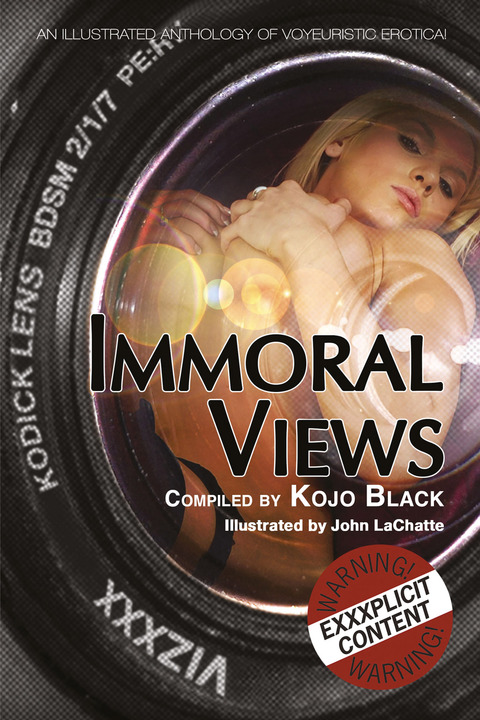 Cover image for book Immoral Views