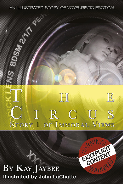 Cover image for book The Circus