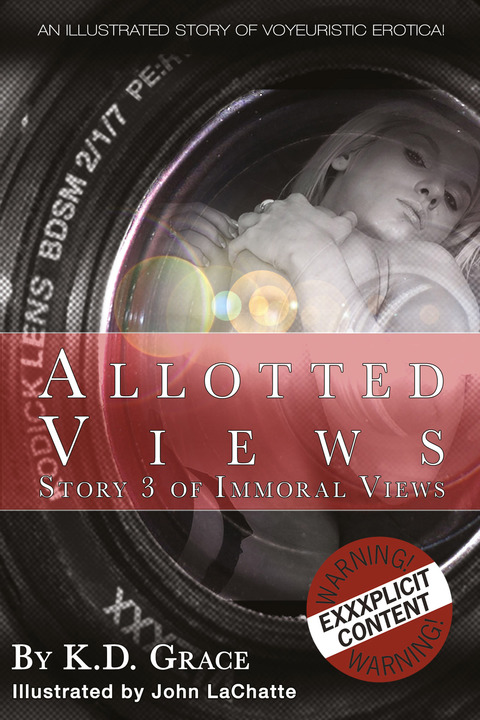 Cover image for book Allotted Views