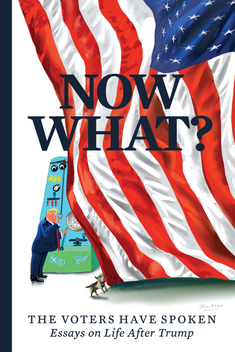 Cover image for book Now What?