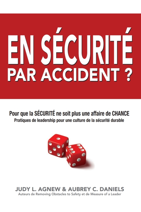 Cover image for book En Sécurité Par Accident ?