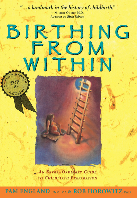 Cover image for book Birthing from Within