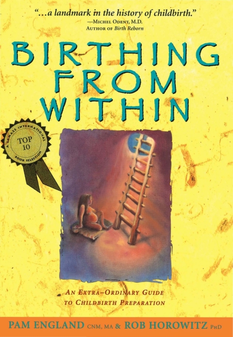 Cover image for book Birthing from Within