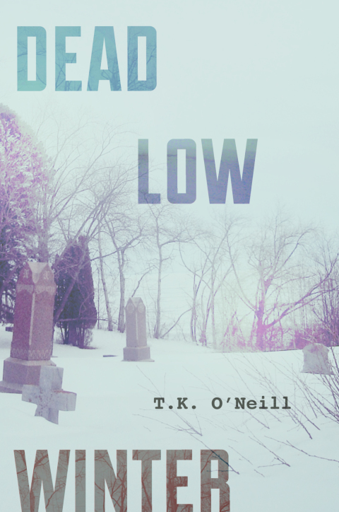 Cover image for book Dead Low Winter