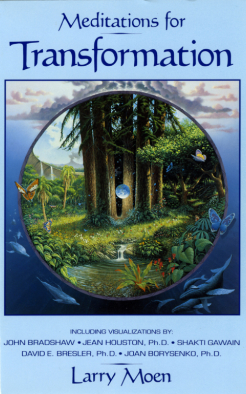 Cover image for book Meditations for Transformation